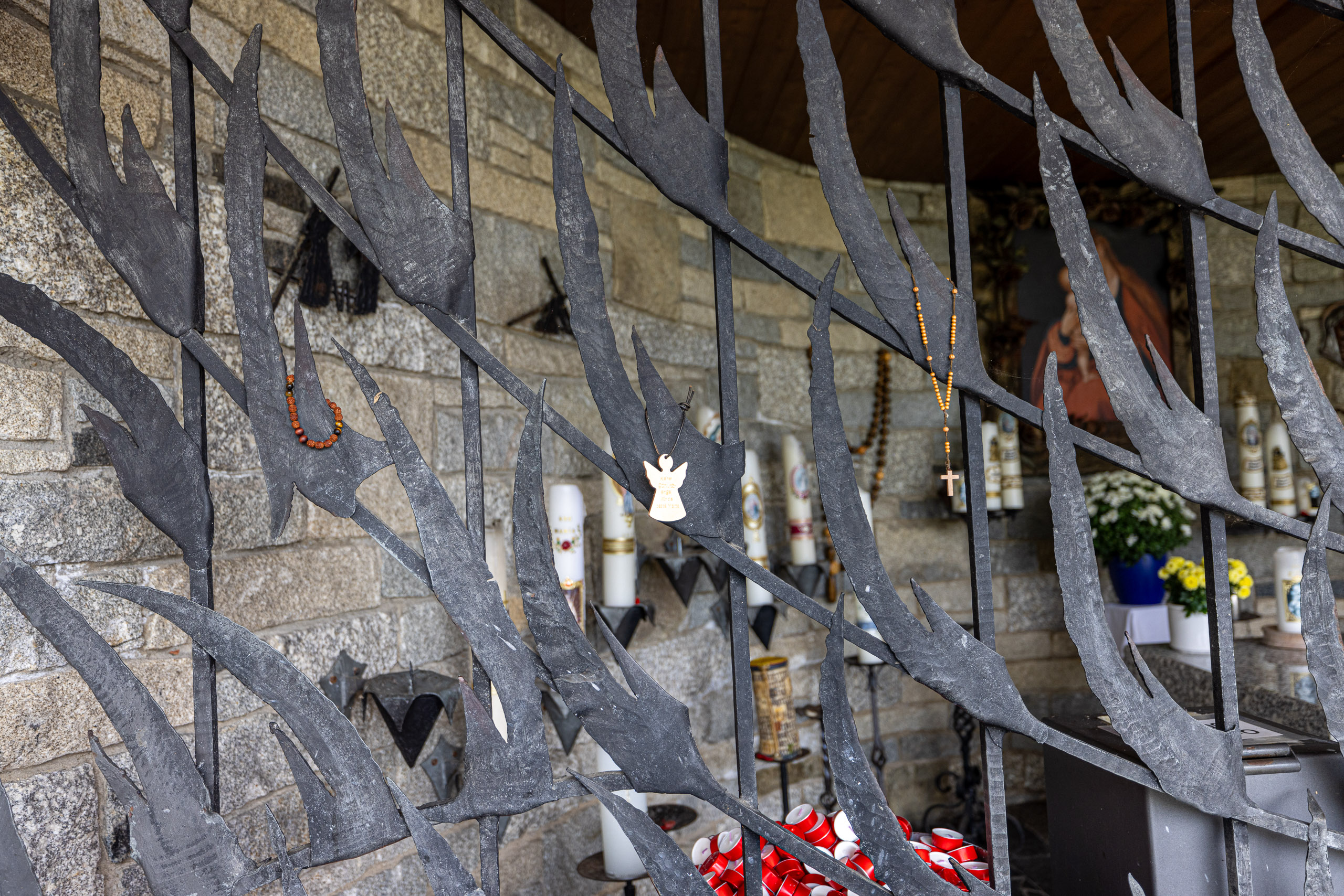 20231014113616 R5D 3965